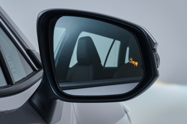 Blind Spot Monitor